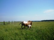 Geburt 6. Juni 2011