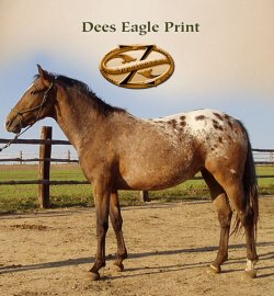 Dees Eagle Print