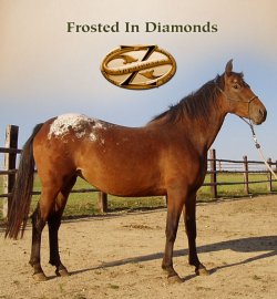 Frosted In Diamonds