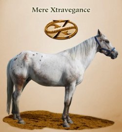 Mere Xtravegance