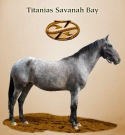 Titanias Savanah Bay