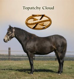 Topatchy Cloud