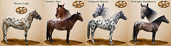 Appaloosa Ranč Lažínky